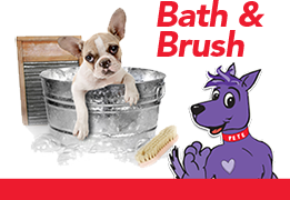 bath-brush
